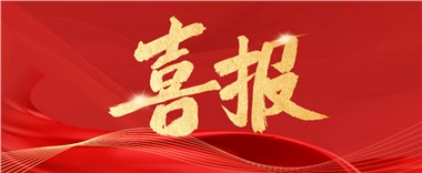 喜訊！長康實(shí)業(yè)上榜2024年度“岳陽民營企業(yè)50強(qiáng)” ！