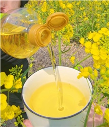 過年囤貨，買什么炒菜油更好更健康？